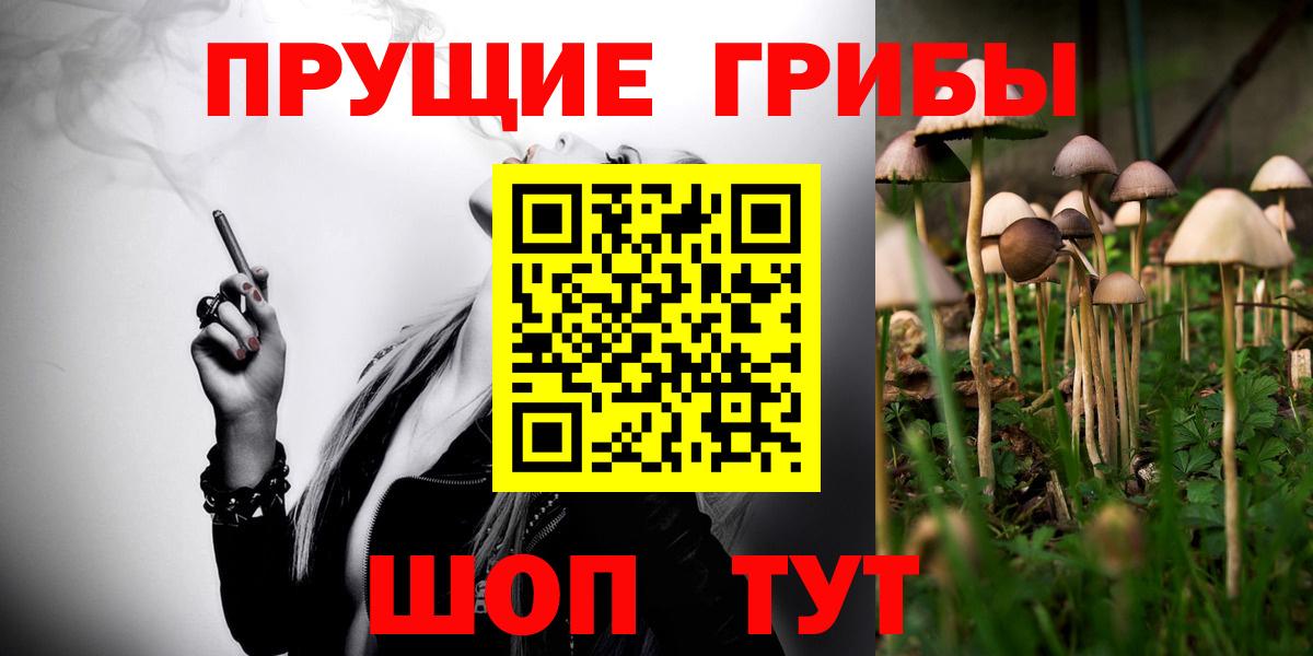 Бахчисарай  Псилоцибиновые грибы GOLDEN TEACHER  Вход с VPN  Галлюциногенные грибы Magic Shrooms 